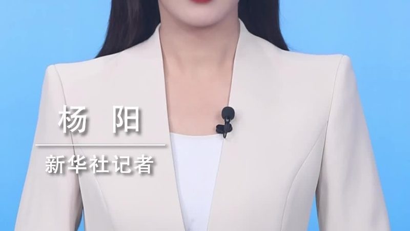 白盒测试用例设计：探寻高效与精准的秘诀
